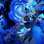 Colour:F