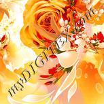 Colour:J