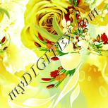 Colour:K
