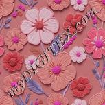 Colour:B
