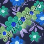 Colour:F