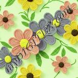 Colour:K