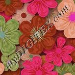 Colour:B