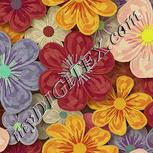 Colour:K