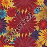 Colour:A
