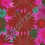 Colour:B