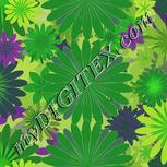 Colour:D