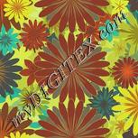 Colour:K
