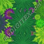 Colour:D
