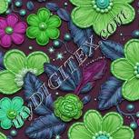 Colour:C