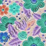 Colour:F
