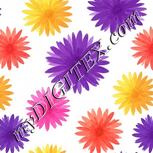 Colour:A