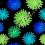 Colour:F