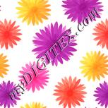 Colour:J