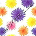 Colour:K
