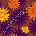 Colour:A
