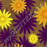 Colour:K
