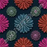 Colour:B