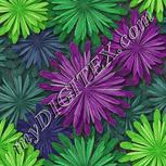 Colour:D