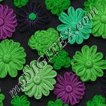 Colour:C