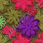 Colour:B