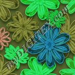 Colour:C