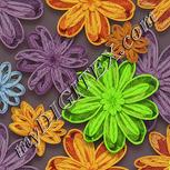 Colour:K