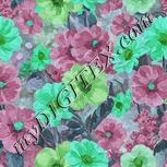 Colour:C