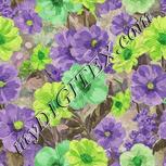 Colour:D