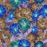Colour:F