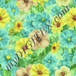 Colour:K
