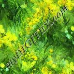 Colour:K