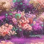 Colour:B