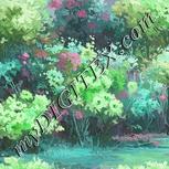 Colour:C