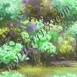 Colour:D
