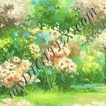 Colour:K
