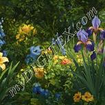 Colour:A