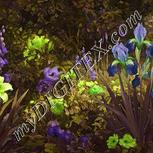 Colour:D