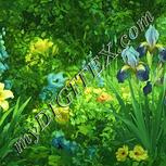 Colour:K