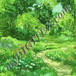 Colour:K
