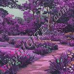 Colour:B