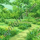 Colour:K