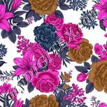 Colour:B