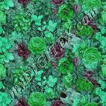 Colour:C