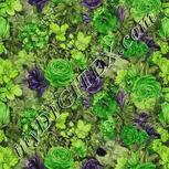 Colour:D