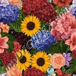 Colour:A