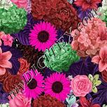 Colour:B