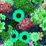 Colour:C