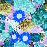 Colour:F