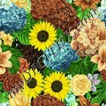Colour:K